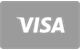 Visa karta płatnicza akceptowana w kasynie